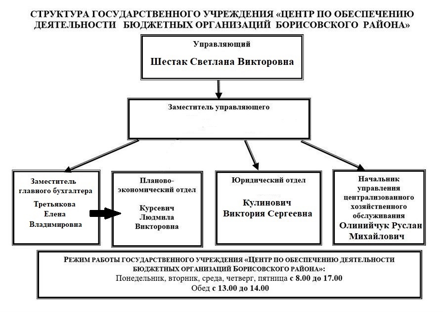 Учреждения по обеспечению деятельности бюджетных организаций. Учреждения по обеспечению деятельности бюджетных организаций